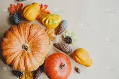 Autumn composition, with pumpkins, squash, pine co