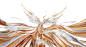 4c5006f9d8a65195bf4f1d66f9d0af3b3e8b794fbf9a1-GSvf8W_fw1200