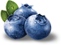 蓝莓图片大全水果PNG免抠素材
