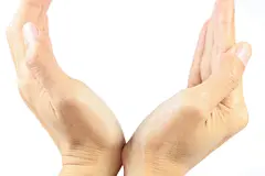 大拇指触摸手背手拿手持五个手指素材高清手掌手指图片手心笔划姿势手语人物动作手握手势818A0464 – 饿狐背景网站-微距高清设计素材免费图片下载海报壁纸摄影背景素材，背景图，背景墙，背景板，背景图片，背景纹理，背景板设计，背景材质，背景大图