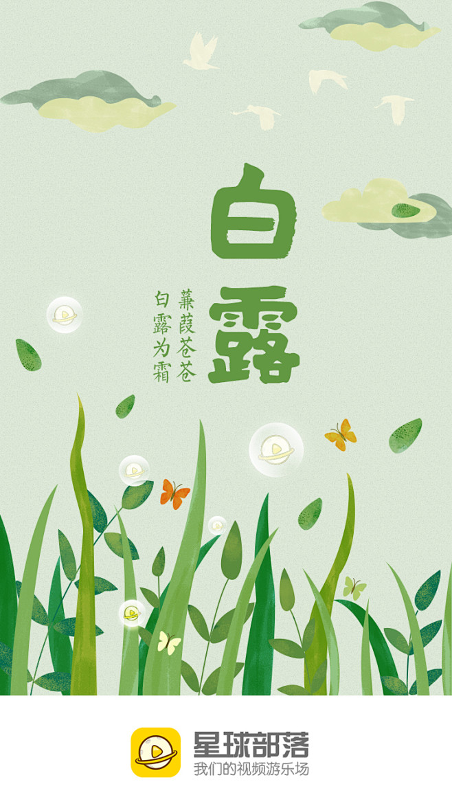 闪屏/节气/白露/插画