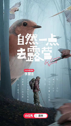 创意文案采集到感慨走心