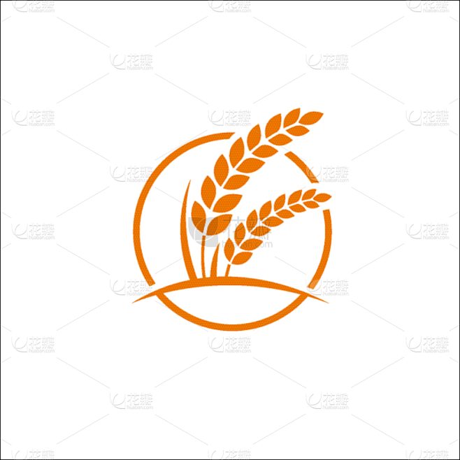 稻,矢量,品质,非凡的,概念,溢价,农业,清新,背景分离,食品