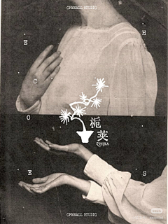 simona_zzZ采集到文字/编排