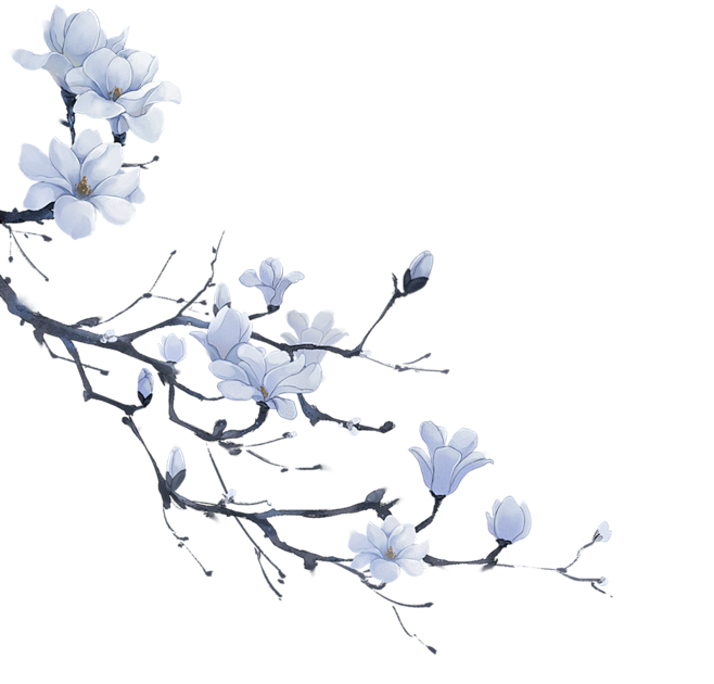 花枝3