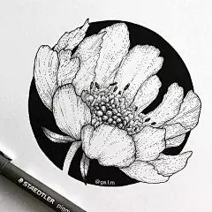 你就承认吧，别人用简单的线条画出这么好看的手绘，你是羡慕的