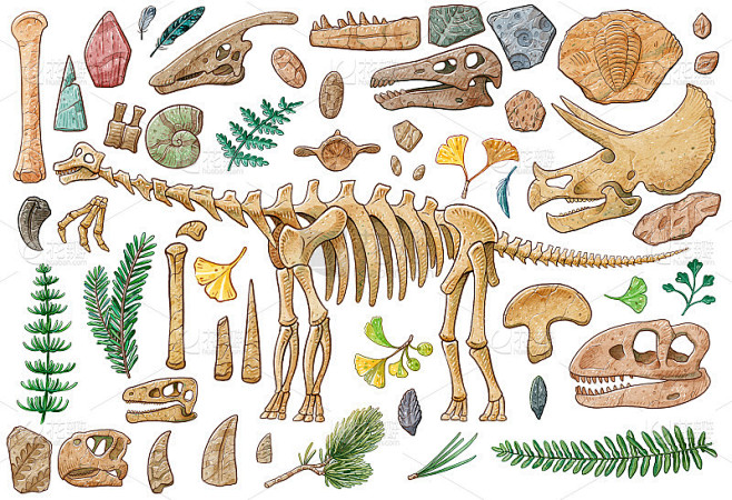 恐龙骨骼，头骨和物品插图水彩与工作路径