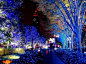 日本．東京街頭的聖誕節 。 #夜景# #街景#