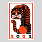 收集的一组虎年新年贺卡设计。 ​​​​