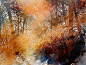 Roland Palmaerts 手绘水彩自然风景艺术欣赏 比利时 法国 橙色 浪漫 艺术 风景 唯美 自然 水彩 手绘 色彩 光 