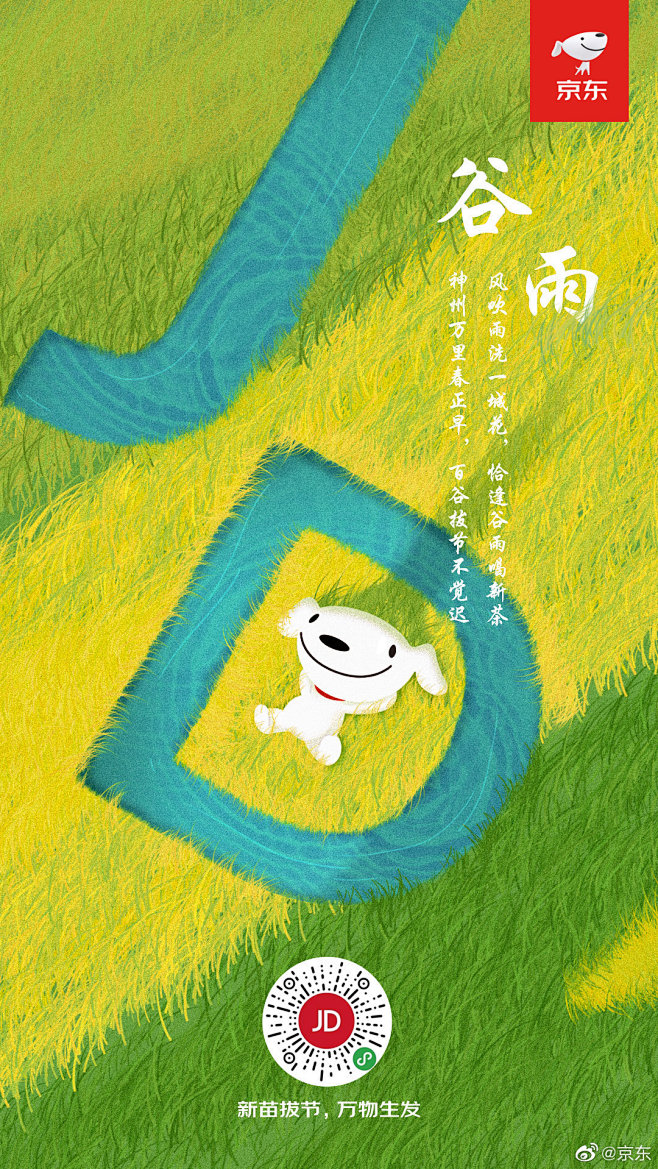 设计癖的照片 - 微相册