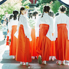 咏子禾Hedy采集到摄影美图
