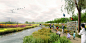 WLA18-Flower-Garden-Park-Wetlands-Montage-∏-Chris-Blandford-Associates-Ltd-565x283