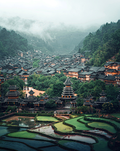 木偶鱼=采集到寨子