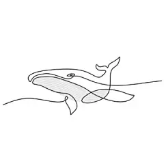 一笔画 | 图源免费EPS文件 |Continuous one line of big whale poster for wallpaper isolated on white background.