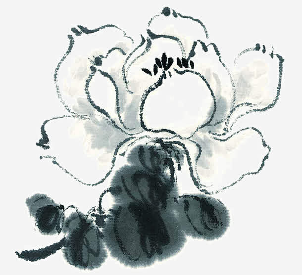 泼墨莲花_新图网 https://ixi...