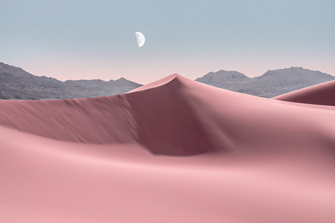 desert Jonas daley M...