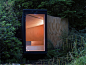 森林冥想：Hampshire 森林池塘小屋 / TDO Architecture