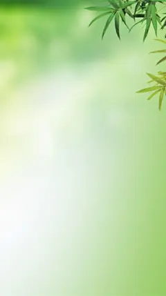绿色渐变背景上的叶子H5素材背景