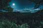 00792_静谧的森林与夜空中皎洁明亮的月亮交相呼应.jpg