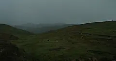 马奶茶