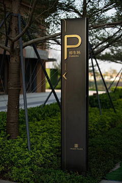 朱力波采集到导示