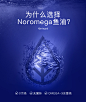 挪威Noromega进口深海鱼鱼油软胶囊欧米伽Omega3成人中老年心血管-tmall.hk天猫国际