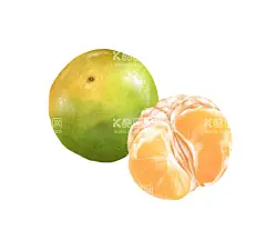 橘子插画  - 源文件下载【酷图网】手绘,板绘,橘子插画,带叶的橘子,矢量,免扣元素,卡通橘子,手绘橘,矢量橘,卡通橘,柑橘,皇帝柑,卡通水果,风格水彩,手绘水果,矢量水果,水墨,卡通,素材