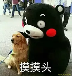 摸摸头 #搞笑#