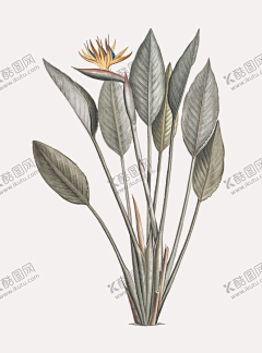 zycherish采集到平面广告