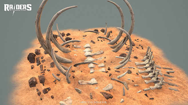 Whale bones - Raider...