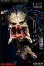 【预定优惠】sideshow 400093 31寸 铁血战士 独狼 Wolf Predator-淘宝网