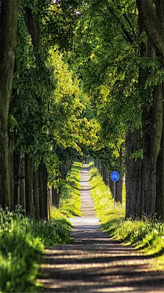 清新旅拍唯美风景高清手机壁纸图片
