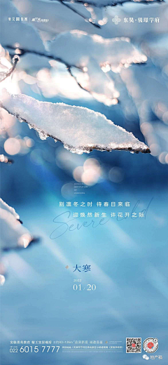 田子果采集到地产节日