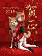 HAPPY NEW YEAR‼