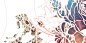 Radisson Amsterdam : Illustrations / collages / wall graphics for Radisson Amsterdam's restaurant areas. The story of the hotel dates back to the Golden Age, the 17th century, which brought Amsterdam its wealth and its characteristic appearance. Treasures
