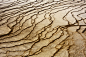 Yellowstone Bacteria Mats