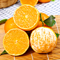 爱媛果冻橙.jpg (800×800)