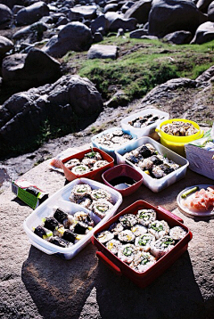 Elizabeth菌采集到食