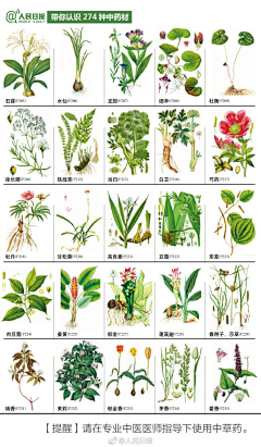 秦淮小诸葛采集到文本