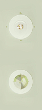 法国艺术家Emilie Guelpa如今因美食杂志《Fricote》以及一系列创意食物摄影而广受关注，今年的这组“Monochrome”系列就以四位厨师的料理作为线索，以色谱展示，更集中展现了厨师们各自的料理美学