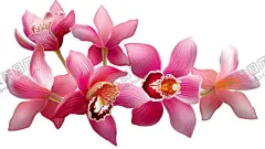 兰花 【酷图网】手绘花朵,花朵,花卉,手绘花草,水彩花草,卡通花朵,花朵插画,蓝色花朵,水彩花朵,花朵绘画,花朵美术,水彩画,水彩花卉,花草,花朵艺术,艺术花朵,花朵背景,花朵图案,花,植物插画,插画花朵,兰花插画,兰花,兰花手绘,手绘兰花,插画兰花