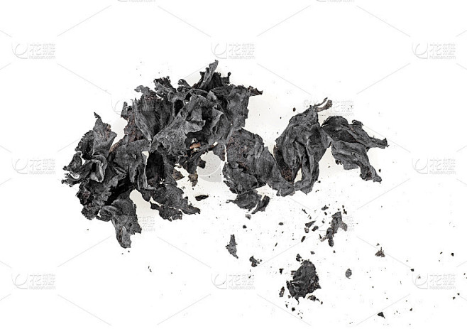 纸的灰烬在白色的背景上。燃烧的纸。