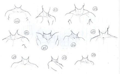 winyochen采集到body 结构