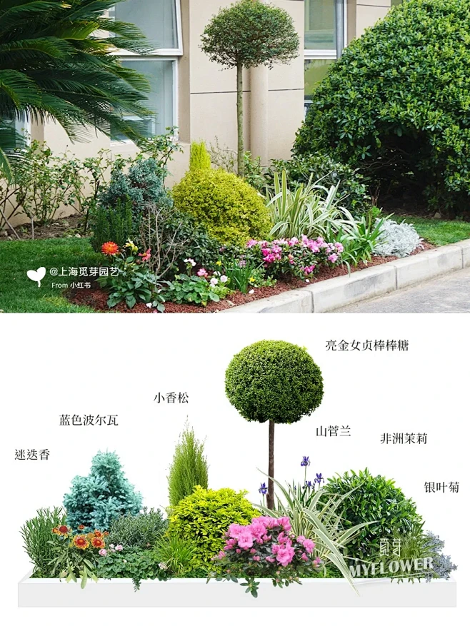 教你入门园区景观设计｜低维护长效花镜-花瓣网