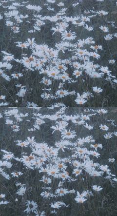 @你看那是岸_朱夫人（由于壁纸有一部分自制，所以转壁纸请加关注注明出处，蟹蟹）平铺，可爱，女王范，黑色，黑白，白色，锁屏，ins风，潮，御姐，动漫，卡通，风景，古风，流行，欧美，情侣壁纸