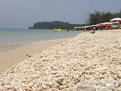 火山之岛——涠洲岛（中国最美的岛屿）风光之旅（三）:多图, 黯淡奥特曼旅游攻略