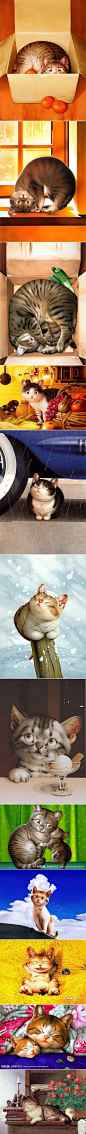 【插画】村松诚笔下的猫，送给所有喜欢猫的人。