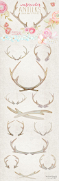 Rustic Watercolor Antlers & Flowers Digital Graphic Illistrations: 