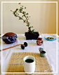 #置爱最美下午茶# 夏去秋至，泡一壶好茶，切几片糕点，摆少许果实，置一只玩物，悠然度过闲适的下午。 有花有草有茗茶，无烦无忧无国界 @置爱SETwithLOVE @WEDGWOOD玮致活